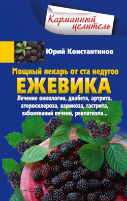 Мощный лекарь от ста недугов. Ежевика. Лечение онкологии, диабета, артрита, атеросклероза, варикоза, гастрита, заболеваний печени, ревматизма…