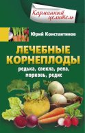 Лечебные корнеплоды. Редька, свекла, репа, морковь, редис