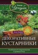 Декоративные кустарники