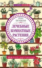 Лечебные комнатные растения. ТОП-20 лекарей с вашего подоконника