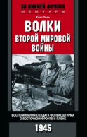 Волки Второй мировой войны. Воспоминания солдата фольксштурма о Восточном фронте и плене. 1945