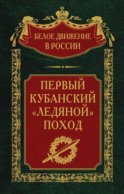 Первый кубанский («Ледяной») поход