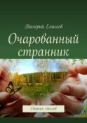 Очарованный странник. Сборник стихов