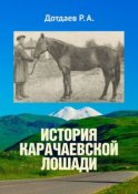 История карачаевской лошади