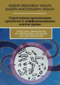 СТРУКТУРНАЯ ОРГАНИЗАЦИЯ ХРОМОСОМ И ДИФФЕРЕНЦИРОВКА КЛЕТОК КРОВИ. STRUCTURAL ORGANIZATION OF CHROMOSOMES AND BLOOD CELL DIFFERENTIATION