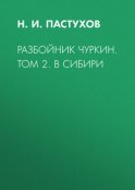 Разбойник Чуркин. Том 2. В Сибири