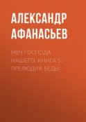 Меч Господа нашего. Книга 5. Прелюдия беды