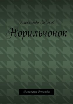 Норильчонок. Всполохи детства