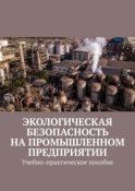 Экологическая безопасность на промышленном предприятии. Учебно-практическое пособие