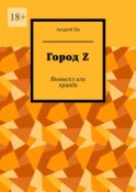 Город Z. Вымысел или правда