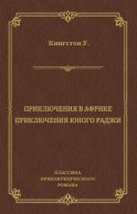 Приключения в Африке. Приключения юного раджи (сборник)