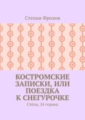 Костромские записки, или Поездка к Снегурочке. Стёпа, 24 годика