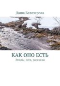 Как оно есть. Этюды, эссе, рассказы