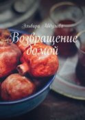 Возвращение домой