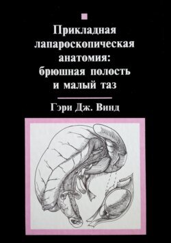 Прикладная лапароскопическая анатомия: брюшная полость и малый таз