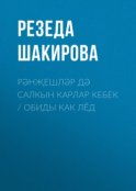 Рәнҗешләр дә салкын карлар кебек / Обиды как лёд