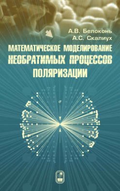 Математическое моделирование необратимых процессов поляризации