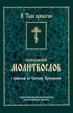 К тебе прибегаю. Православный молитвослов с правилом ко Святому Причащению