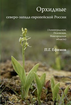 Орхидные северо-запада европейской России