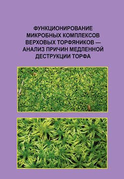 Функционирование микробных комплексов верховых торфяников – анализ причин медленной деструкции торфа