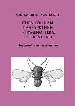 Сцелиониды Палеарктики (Hymenoptera, Scelionidae). Подсемейство Scelioninae