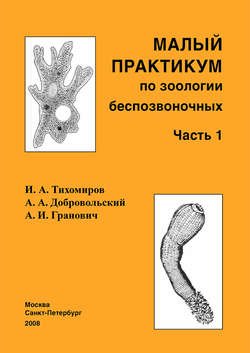 Малый практикум по зоологии беспозвоночных. Часть 1