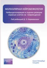 Молекулярная нейроморфология. Нейродегенерация и оценка реакции нервных клеток на повреждение