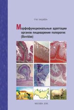 Морфофункциональные адаптации органов пищеварения полорогих (Bovidae)