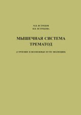 Мышечная система трематод (строение и возможные пути эволюции)