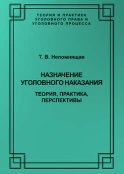 Назначение уголовного наказания. Теория, практика, перспективы