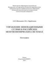 Управление инновационными сетями в российских мезоэкономических системах