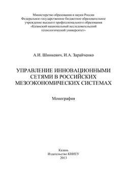 Управление инновационными сетями в российских мезоэкономических системах