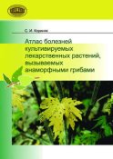 Атлас болезней культивируемых лекарственных растений, вызываемых анаморфными грибами