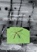 Определитель наземных личинок комаров-болотниц (Diptera, Limoniidae и Pediciidae) России