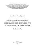 Финансовое обеспечение инновационной деятельности и управление рисками в НГХК