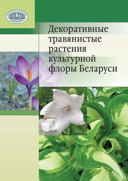 Декоративные травянистые растения культурной флоры Беларуси