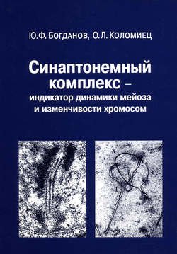 Синаптонемный комплекс – индикатор динамики мейоза и изменчивости хромосом