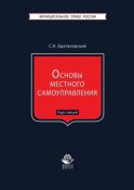 Основы местного самоуправления. Курс лекций