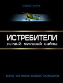 Истребители Первой Мировой. Более 100 типов боевых самолетов