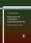 Ювенальное уголовное судопроизводство. Модели, функции, принципы