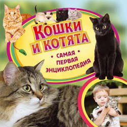 Кошки и котята