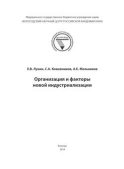 Организация и факторы новой индустриализации