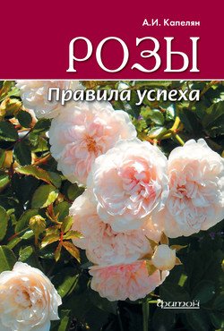 Розы. Правила успеха