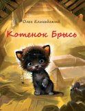 Котенок Брысь