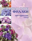 Узамбарские фиалки: Выращивание и уход