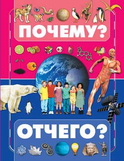 Почему и отчего?