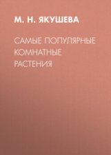 Самые популярные комнатные растения