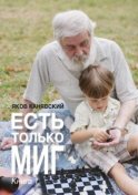 Есть только миг. Книга 1