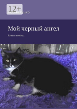 Мой черный ангел. Лапы и хвосты
