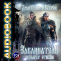 Заклинатель четырёх стихий